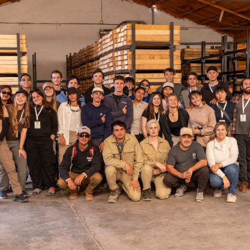 Copia de PSJ AVPH LOGERA RODRIGUEZ PEÑA