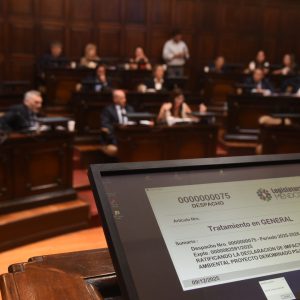 El Senado de Mendoza ratificó la Declaración de Impacto Ambiental de PSJ Cobre Mendocino