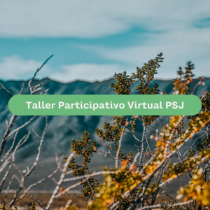 PSJ Cobre Mendocino abre la inscripción a su Taller Participativo Virtual